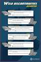 Picture of WELD DISCONTINUITIES:ASSORTED-POSTER